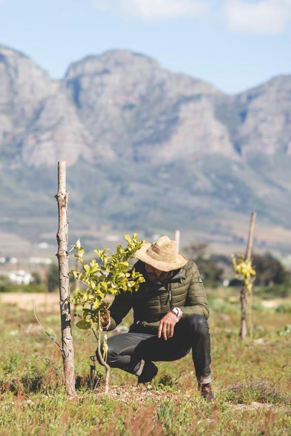 The Farmstead Villa Franschhoek Bagian luar foto