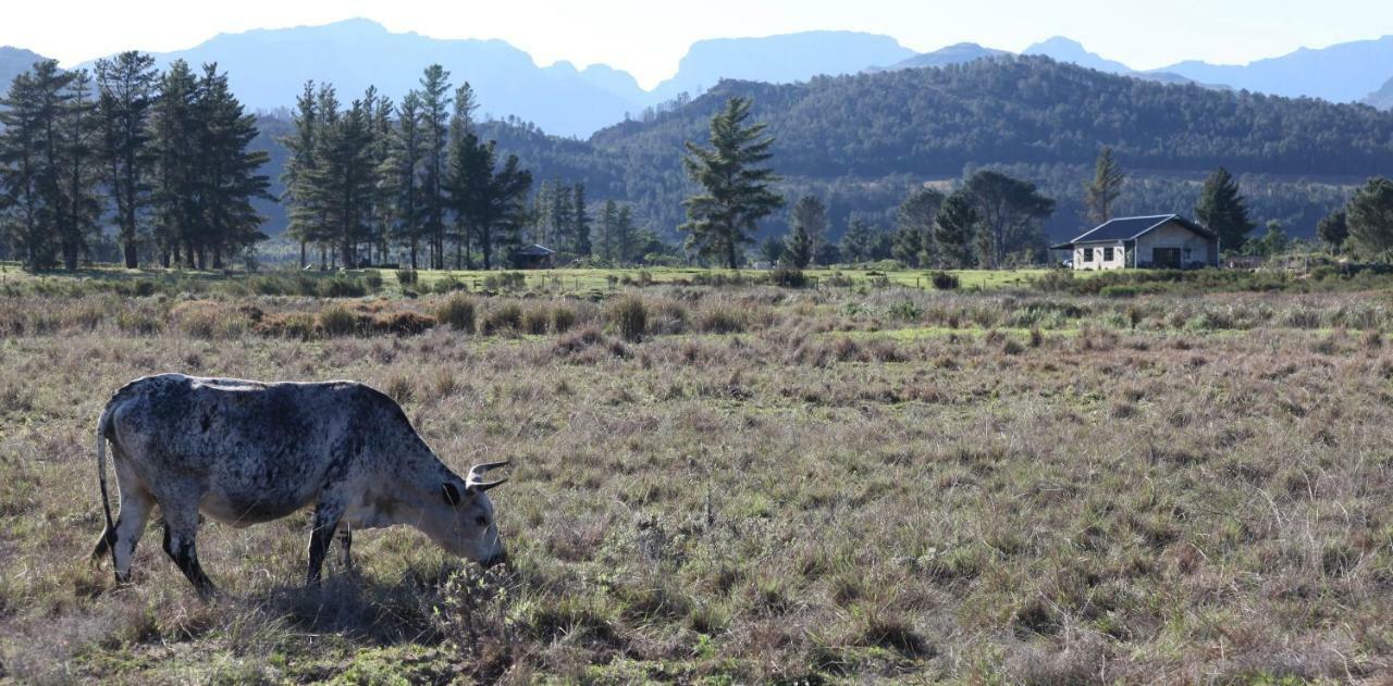 The Farmstead Villa Franschhoek Bagian luar foto